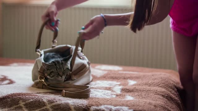 Female person picks up bag with cat