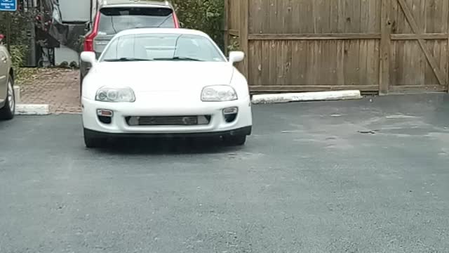 Supra spotted