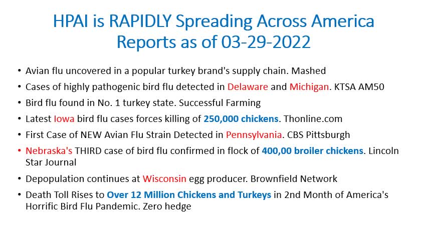 Highly Pathogenic Avian Influenza, Globally underreported