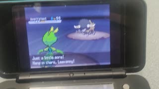 Pokemon White2:Rival Battle Victory Road