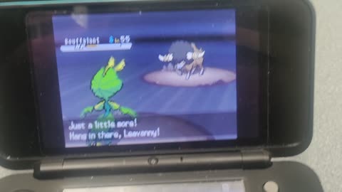 Pokemon White2:Rival Battle Victory Road