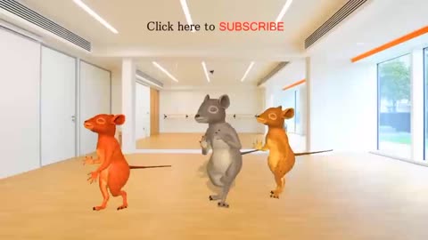 🐀🐁 Rat's Dance, funny Rat Dance, kids funny video