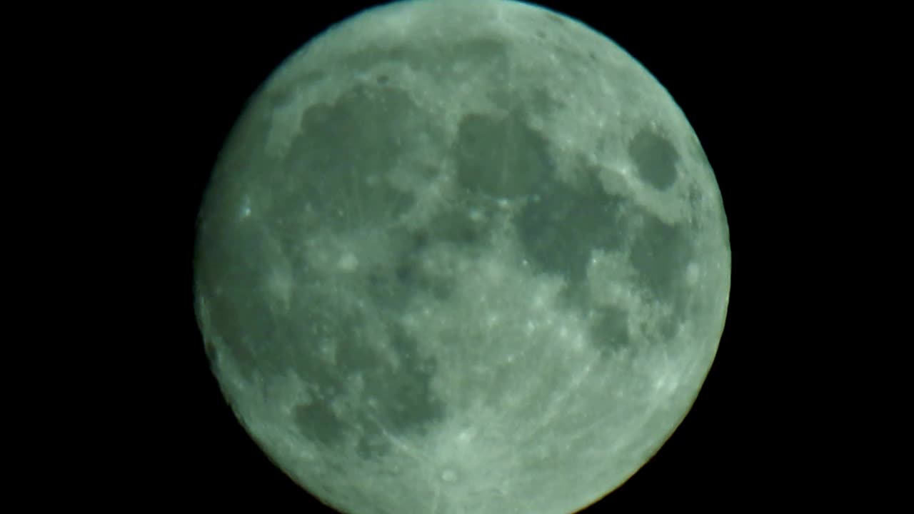 Fred Zepplin 2021, Waxing Gibbous Almost Full Moon