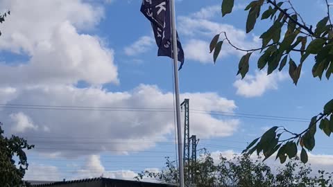 Flag flying Germany