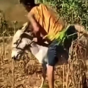 He probably lost his foot, well eraned.