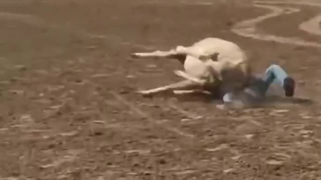 Funny video 😂😂😂😂