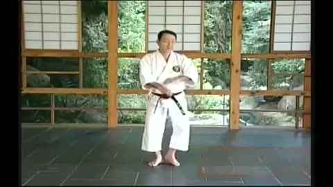 Shorin-Ryu Karate