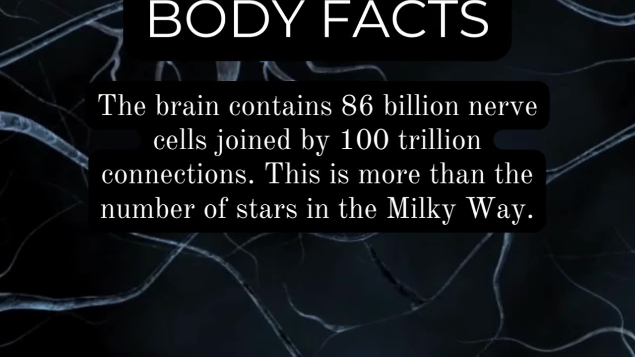 Astonishing Human Body Discoveries: Revealing Facts