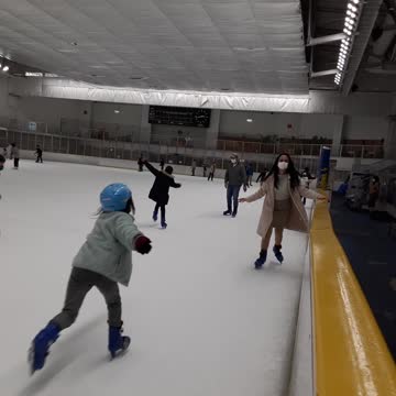 2021 Tân Sửu Xuân trượt băng 4