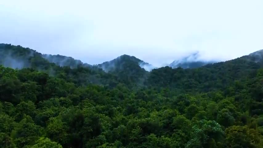 Relaxing Music for Stress Relief Meditation