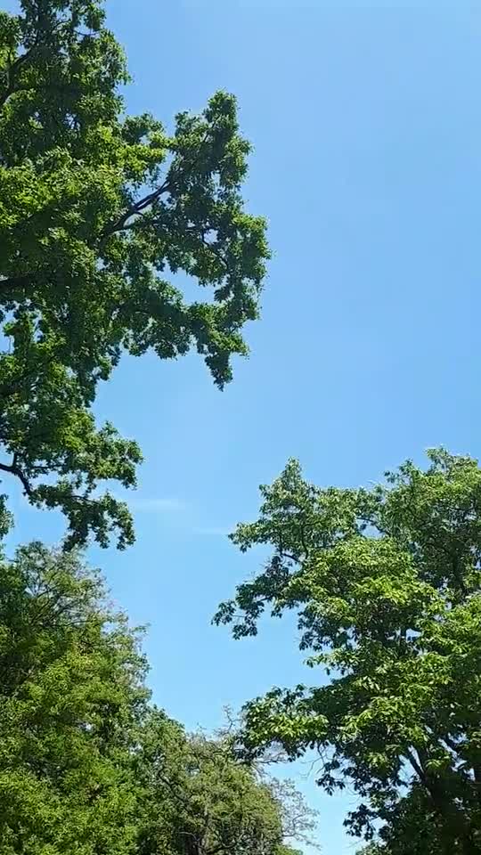 Himmel in Berlin am 18. Mai so 14:30 Uhr