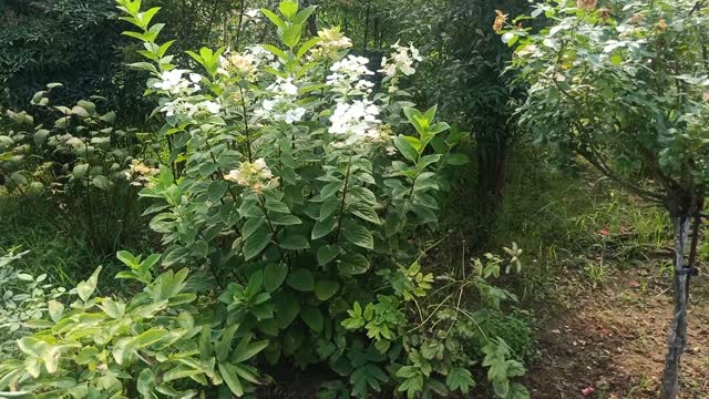 This bunch of flowers is beautiful