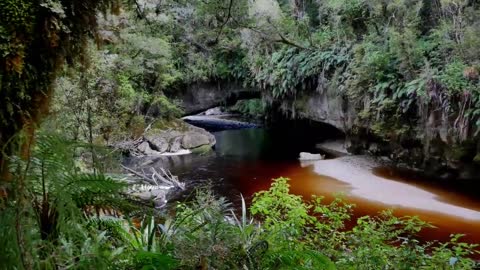 7 WILD Animal Encounters to Have in New Zealand