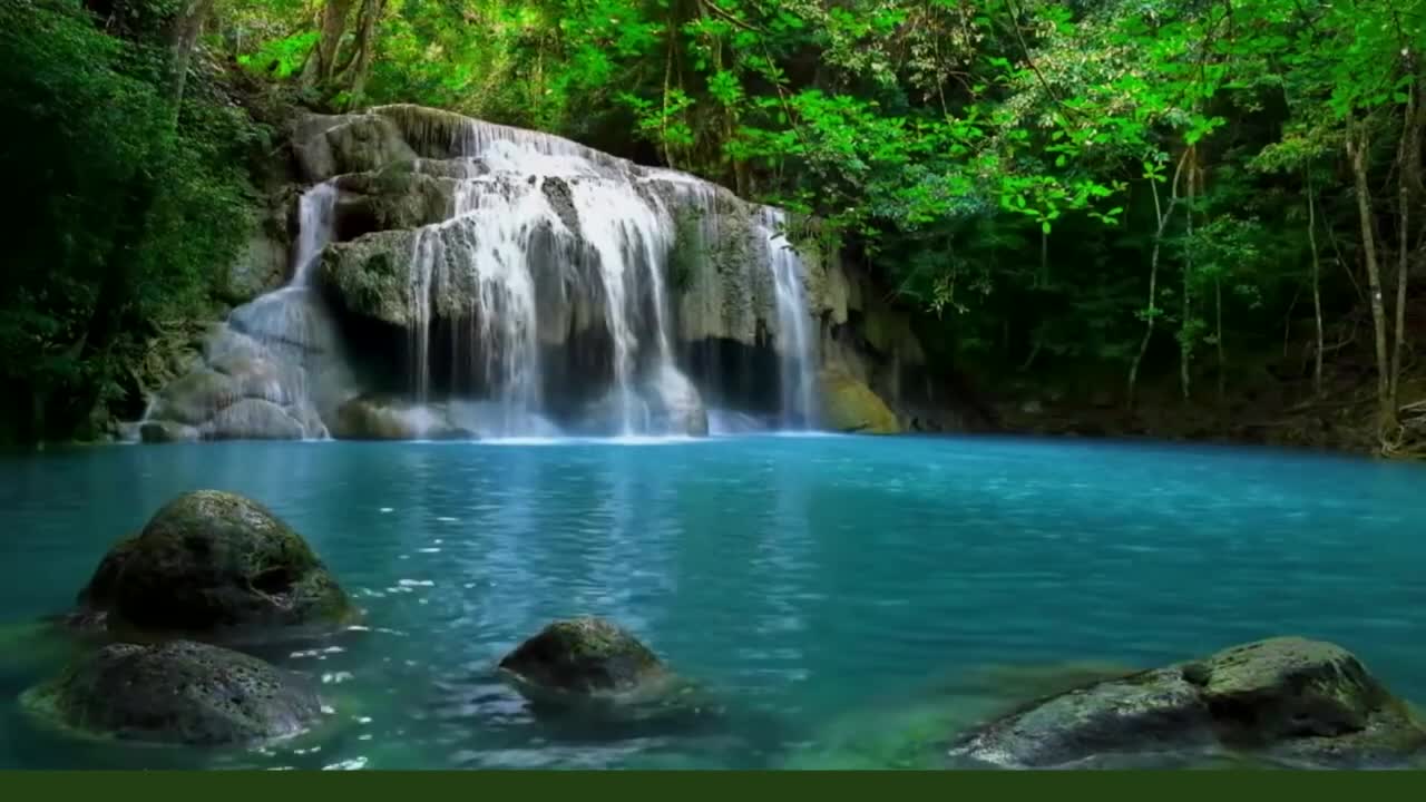 Waterfall Sounds Relaxing Rainforest Nature Sound Singing Birds Sleeping Meditation Calming Birdsong