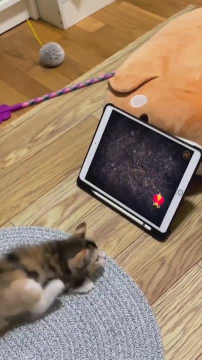 Kitty Gamer Got Mad Skillz