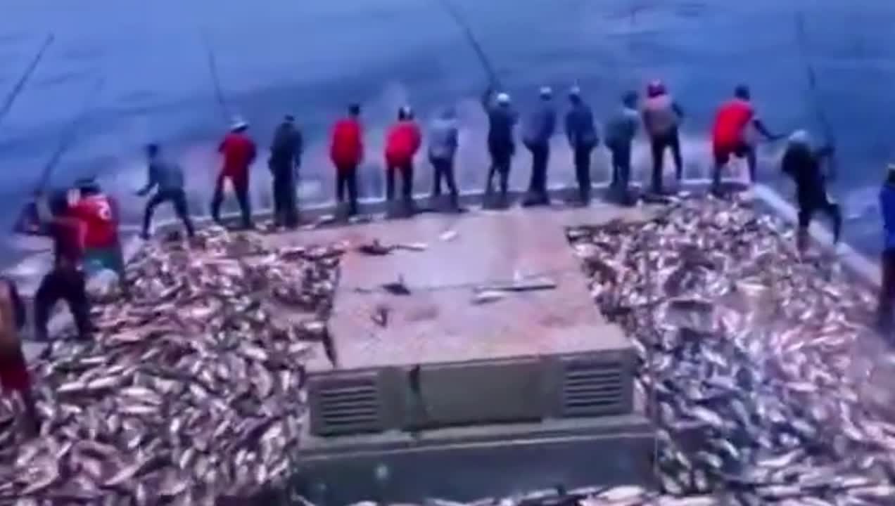 Get in the boat