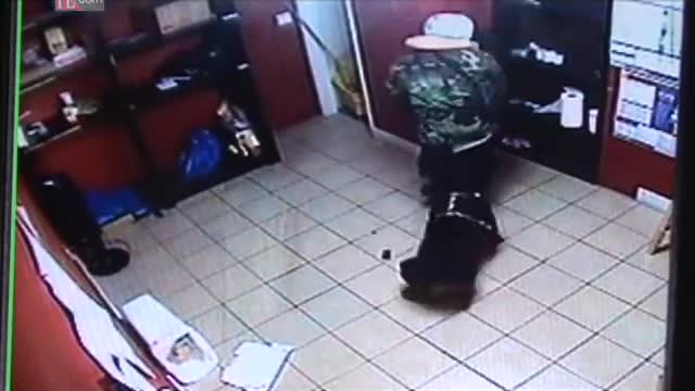 Rottweiler helps owner to disarm robber of a Jewelry Store !