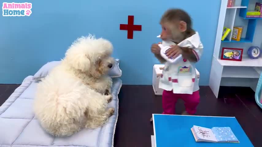 Doctor BiBi takes care of Amee