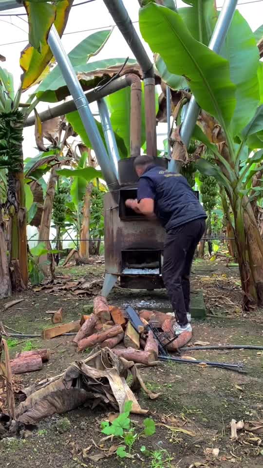 funny|prank|jokes|funny jokes|dad jokes|funny memes|funny video|fun|laughing|funny animal|knock