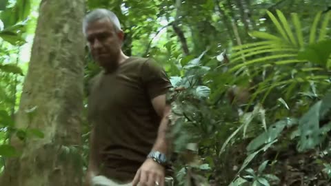 Man Hunt of the Hidden Tribe Hunt Jungle Animals With Deadly Precision