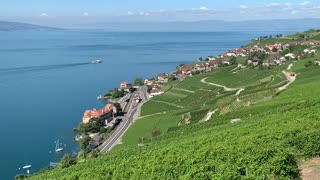 Lac Léman et ces vignes