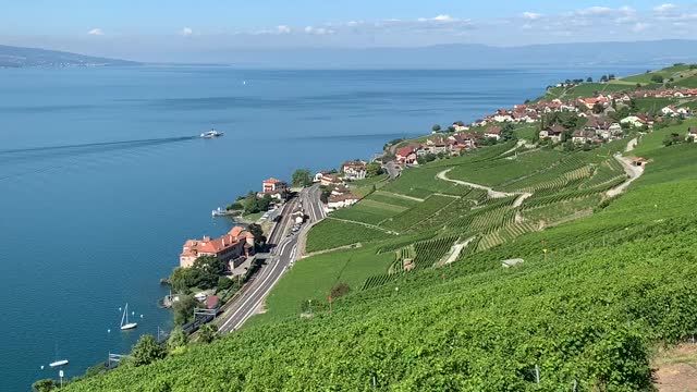 Lac Léman et ces vignes