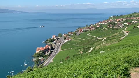 Lac Léman et ces vignes