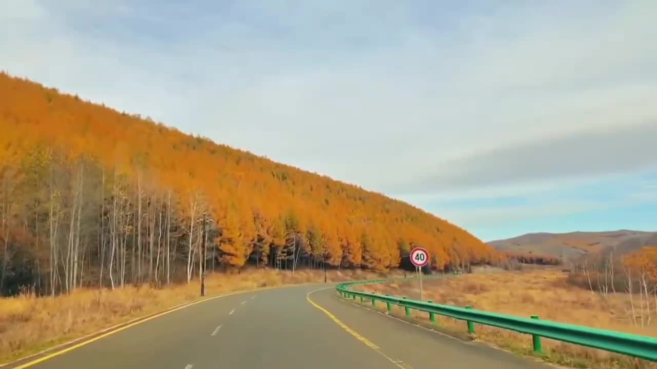 The trees were ablaze with the colours of autumn.
