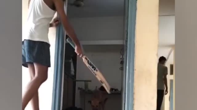 A guy tried to Kill the Dog With Bat🥺 But Circumstances Changes 😍