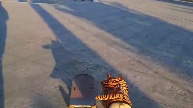 SkateDog 22