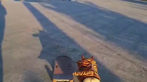 SkateDog 22