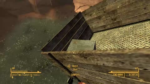 Fallout New Vegas What's in the Box?