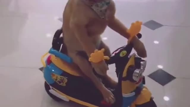 Dogs RIDING BIKES ★ Funny Dogs Drive Motorcycles! [Funny Pets]