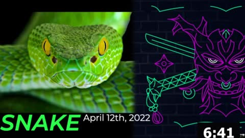 SNAKE - April 12th, 2022