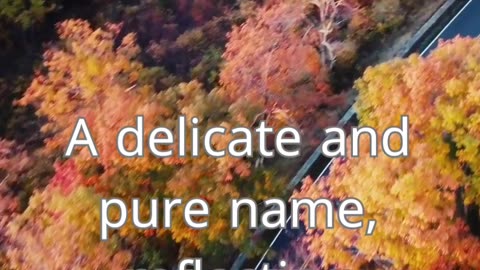 Women's names: beauty secrets and meaning. Every name has a story