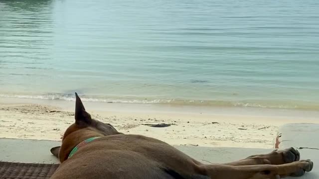 Relaxing on the Beach