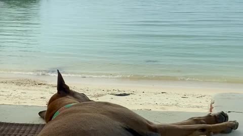 Relaxing on the Beach