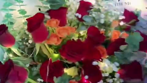 Beautiful flowers