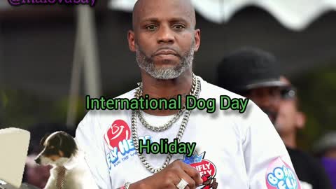 DMX International Dog Day Holiday KARMA DOG FIGHTS