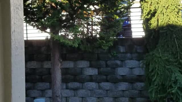 Highland Hills Apartments Vancouver Washington