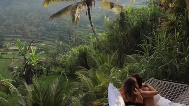 Nice view
