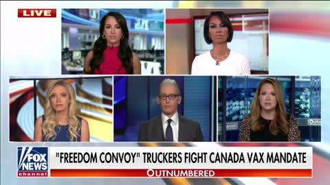 Kayleigh McEnany blasts liberals' disdain for Canadian truckers