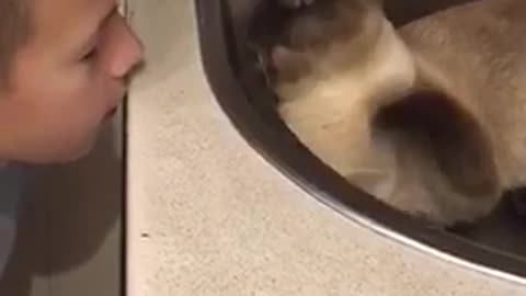 My cat hit me