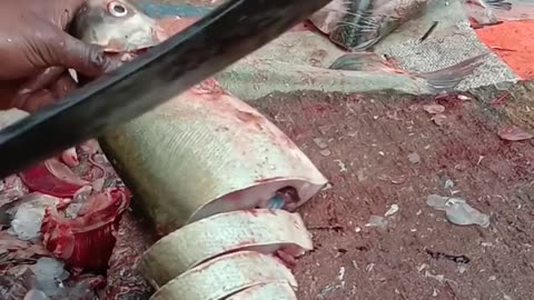 Amazing indian fish cutting techniques