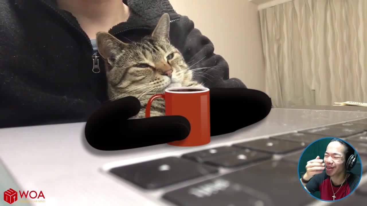 Funny Cat Tries to Steal Cookies 2021