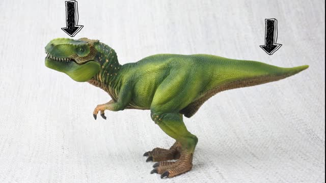 Learn about DINOSAURS! | Fun & Educational Compilation| Dinosaurs For Kids