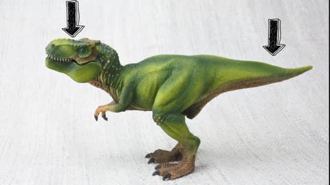 Learn about DINOSAURS! | Fun & Educational Compilation| Dinosaurs For Kids