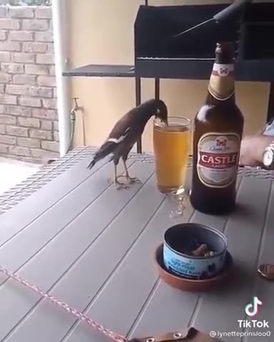 I'd like to see the takeoff and landing after this!