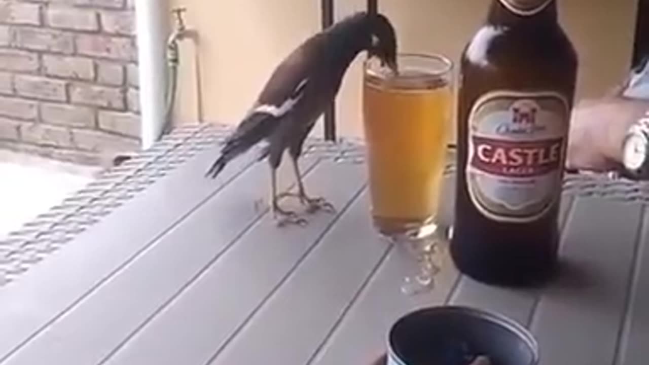 I'd like to see the takeoff and landing after this!
