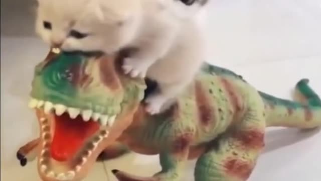 Protective cat mom, "avoiding her child to make a mess" LOL